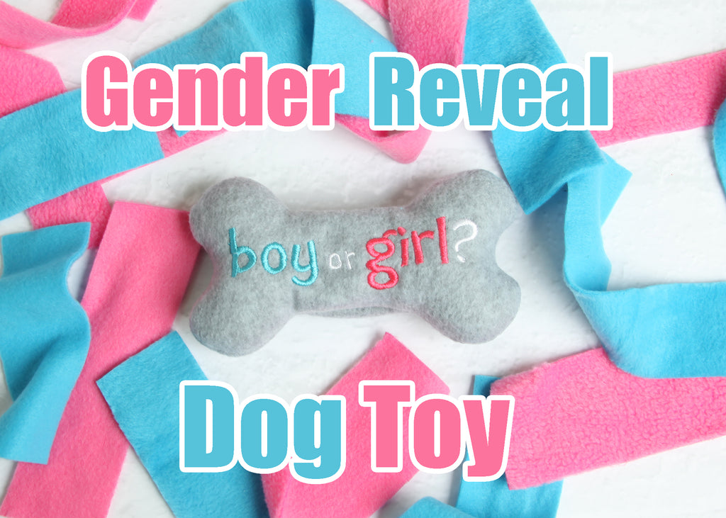 Money Custom Dog Toy - Personalized Squeaky Toy