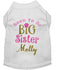 Personalized Big Sister Dog Shirt - Soon to Be Big Sister Dog Shirt - Pregnancy Announcement Sister Pet Shirt - Baby Announcement Dog Tee