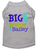 Personalized Big Brother Dog Shirt - Custom Big Brother Dog Shirt - Embroidered Brother Pet Shirt - Personalized Big Brother Dog Tee - Tank