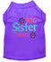 Personalized Big Sister Dog Shirt - Custom Big Sister Dog Shirt - Embroidered BSister  Pet Shirt - Personalized Big Sister Dog Tee - Tank