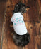 Quick Ship - Dog Baby Announcement - Ready to ship - Dog Pregnancy Announcement - Dog Pregnancy Shirt - Dog Pregnancy Reveal - Dog Shirt