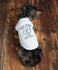 Quick Ship - Dog Baby Announcement - Quick Fast Shipping - Dog Pregnancy Announcement Shirt - Dog Pregnancy Shirt - Big Brother Dog Shirt