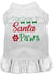 Dog Christmas Clothes - I Believe in Santa Paws - Dog Christmas - Dog Shirt - Dog Holiday Clothes - Christmas Dog Clothes - Custom Dog Dress