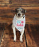 Dog Baby Announcement Bandana - Big Sister Dog Bandana - Big Sis Dog Photo Prop - Big Sister To Be Pregnancy Announcement - Dog Baby