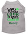 St. Patrick's Dog Shirt - Who Needs Luck Dog Shirt - Personalized Dog Shirt - St. Patty's Dog Clothes  - Custom Dog Shirt - Shamrock