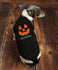 Jack o Lantern Dog Halloween Costume Dog Pumpkin Face Shirt Custom Dog Shirt - Dog Costume - Pet Costume - Dog Halloween Funny Dog Shirt