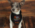 Bootiful Halloween Dog Bandana, Tie on Bandana, Neck Scarf, Pet Costume