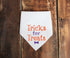 Tricks for Treats Halloween Dog Bandana, Tie on Bandana, Neck Scarf, Pet Costume