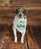 St. Patrick's Personalized Dog Bandana  Kiss Me I'm Irish - Green Dog Scarf- St. Patty's Dog Clothes  - Custom Dog - Shamrock