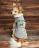 Dog Halloween Costume - Dog Halloween Shirt - Keep the Tricks Here for  Treats - Custom Dog Shirt - Dog Costume - Pet Costume  Dog Halloween