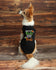 Dog Halloween Costume - Dog Halloween Shirt - Keep the Tricks Here for  Treats - Custom Dog Shirt - Dog Costume - Pet Costume  Dog Halloween