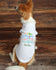 Salty Air Take Me There Dog Shirt - Dog Clothes  - Personalized Dog Shirt - Summer dog shirt - Dog Beach Clothes - Custom Dog Clothes