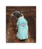 Hello Spring Dog Shirt - Dog Clothes  - Personalized Dog Shirt - Spring dog shirt - Dog Beach Clothes - Custom Dog Clothes - Summer Dog