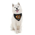 Trick or Treat Halloween Dog Bandana, Tie on Bandana, Neck Scarf, Pet Costume Bootiful Bandana for Dog, Halloween Bandana, Personalized