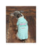 Spring is in the Air Dog Shirt - Dog Clothes  - Personalized Dog Shirt - Spring dog shirt Dog Beach Clothes  Custom Dog Clothes - Summer Dog