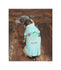 Hello Spring Dog Shirt - Dog Clothes  - Personalized Dog Shirt - Spring dog shirt - Dog Beach Clothes - Custom Dog Clothes - Summer Dog