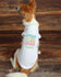 Spring Has Sprung Dog Shirt - Dog Clothes  - Personalized Dog Shirt - Spring dog shirt - Dog Beach Clothes - Custom Dog Clothes - Summer Dog