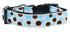 Confetti Dots Ribbon Nylon Dog Collar or Leash - Ribbon Dog Collar - Nylon Dog Leash - Matching Collar and Leash - Washable Dog Collar