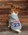 Hoodie Custom Name Jersey Pet, Embroidered Name Number Personalized Dog Hoodie Football Hockey Custom Name Dog Sweatshirt, Puppy Clothing,